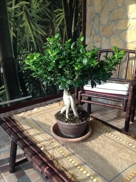 B&B Profumi Di Sicilia San Cataldo